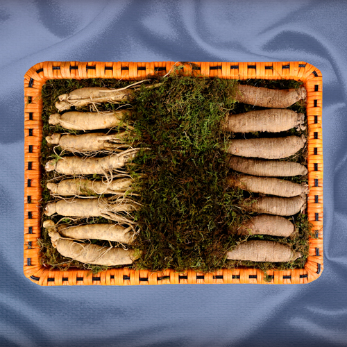 더덕수삼세트 2호 600g(13~18뿌리)