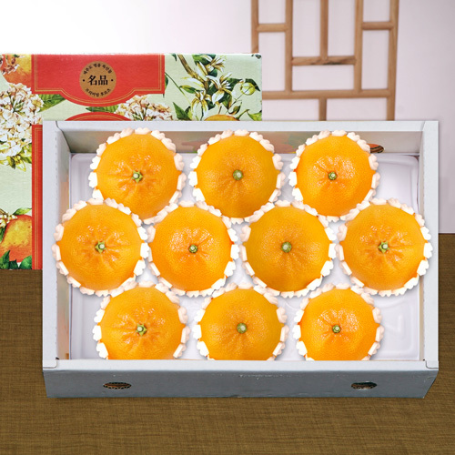 제주 천혜향 3kg(10-13과)