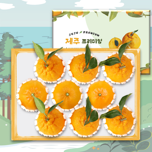 [제주프리미엄]한라봉천혜향 9과 3kg(한6/천3)