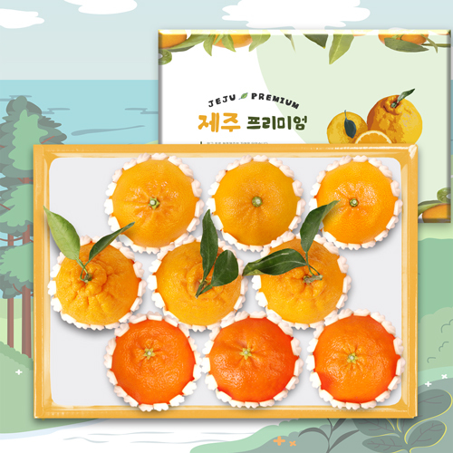 [제주프리미엄]한라봉레드향천혜향3종 9과 3kg(한3/레3/천3)