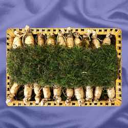 [금산인삼]6년근수삼 2호 600g(17~20뿌리)