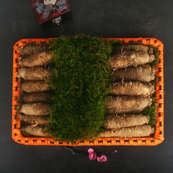 더덕향기채반 8호 2kg(20-27뿌리)