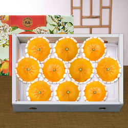 제주 천혜향 3kg(10-13과)