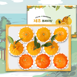 [제주프리미엄]한라봉레드향천혜향3종 9과 3kg(한3/레3/천3)