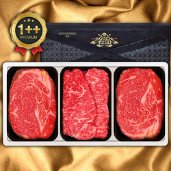 [횡성투뿔]1++횡성한우 3P 13호 900g(등/등/채300)